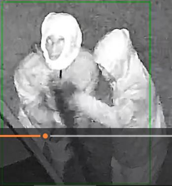 Both vehicle burglary suspects