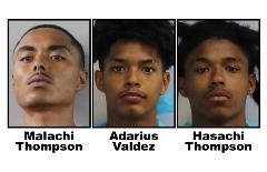 Vehicle burglary suspects